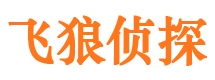 龙山市侦探公司